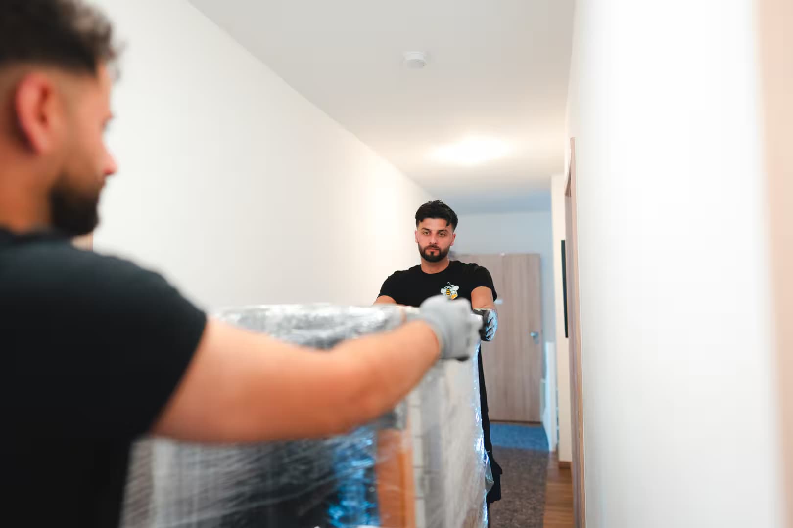 Professioneller Firmenumzug von Biene Umzüge für Unternehmen in Regensburg und Hamburg